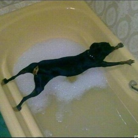 bathing-time
